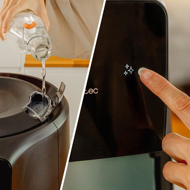 Airfryer Cecotec Freidora De Aire Cecofry Rain