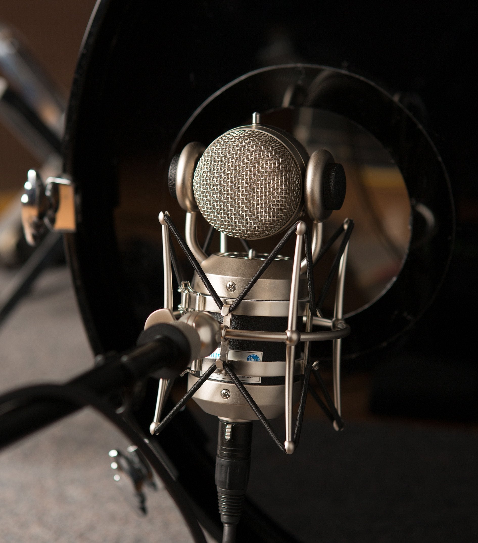 Micrófono Blue Microphones Mouse Negro De Estudio