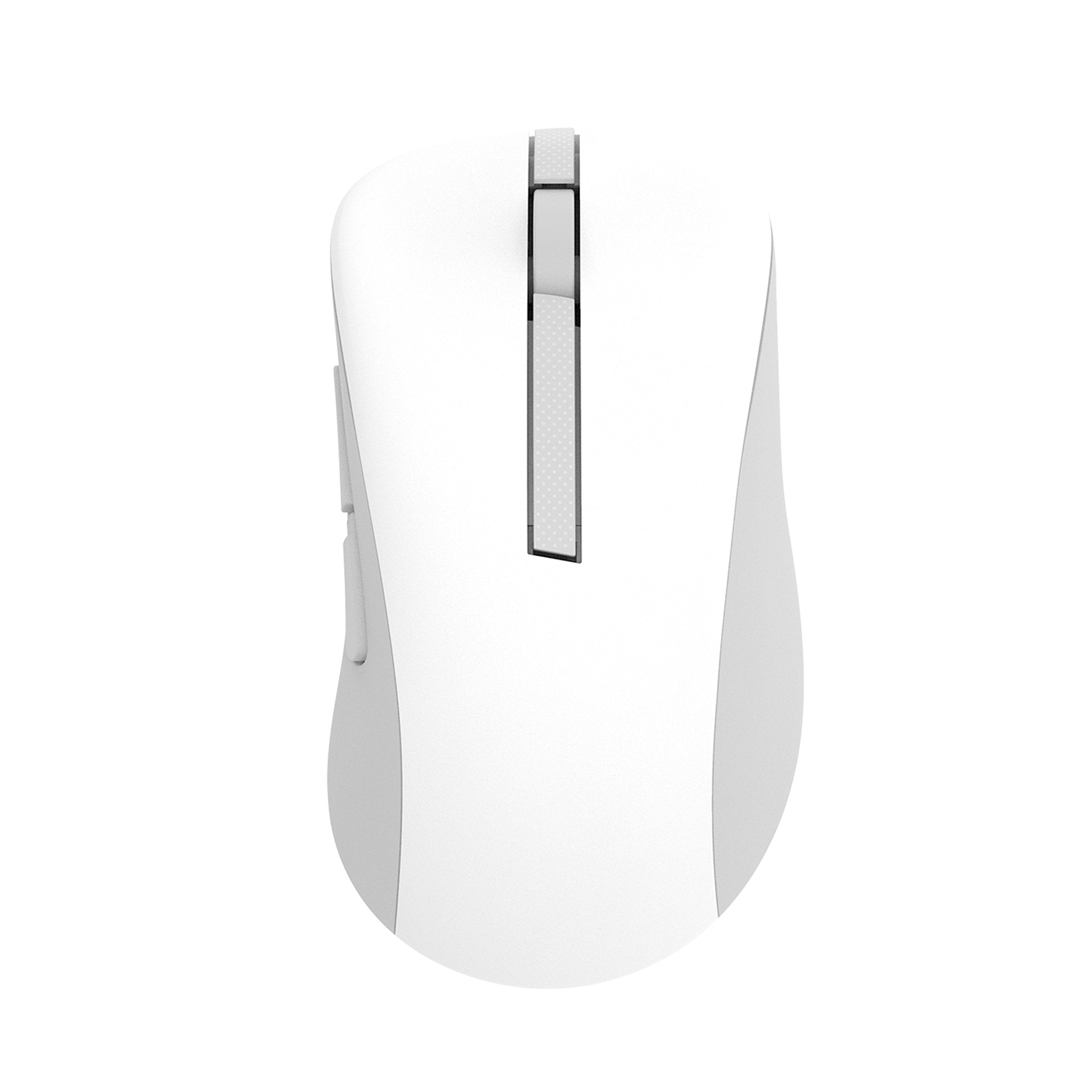 EAN 0197105537590 - ASUS Wireless Mouse MD102 ratón Universal mano derecha RF Wireless + Bluetooth Óptico 1600 DPI imagen 1