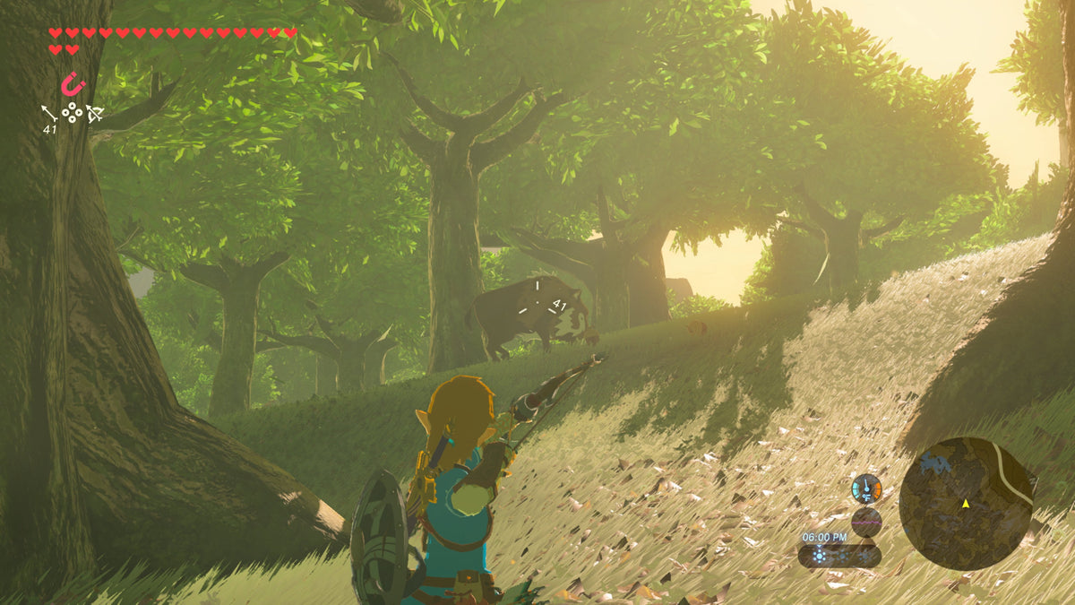 EAN 0045496312725 - Nintendo The Legend of Zelda: BOTW, Switch 2 Edición Nintendo Switch 2 Plurilingüe Nintendo Switch 2 imagen 5