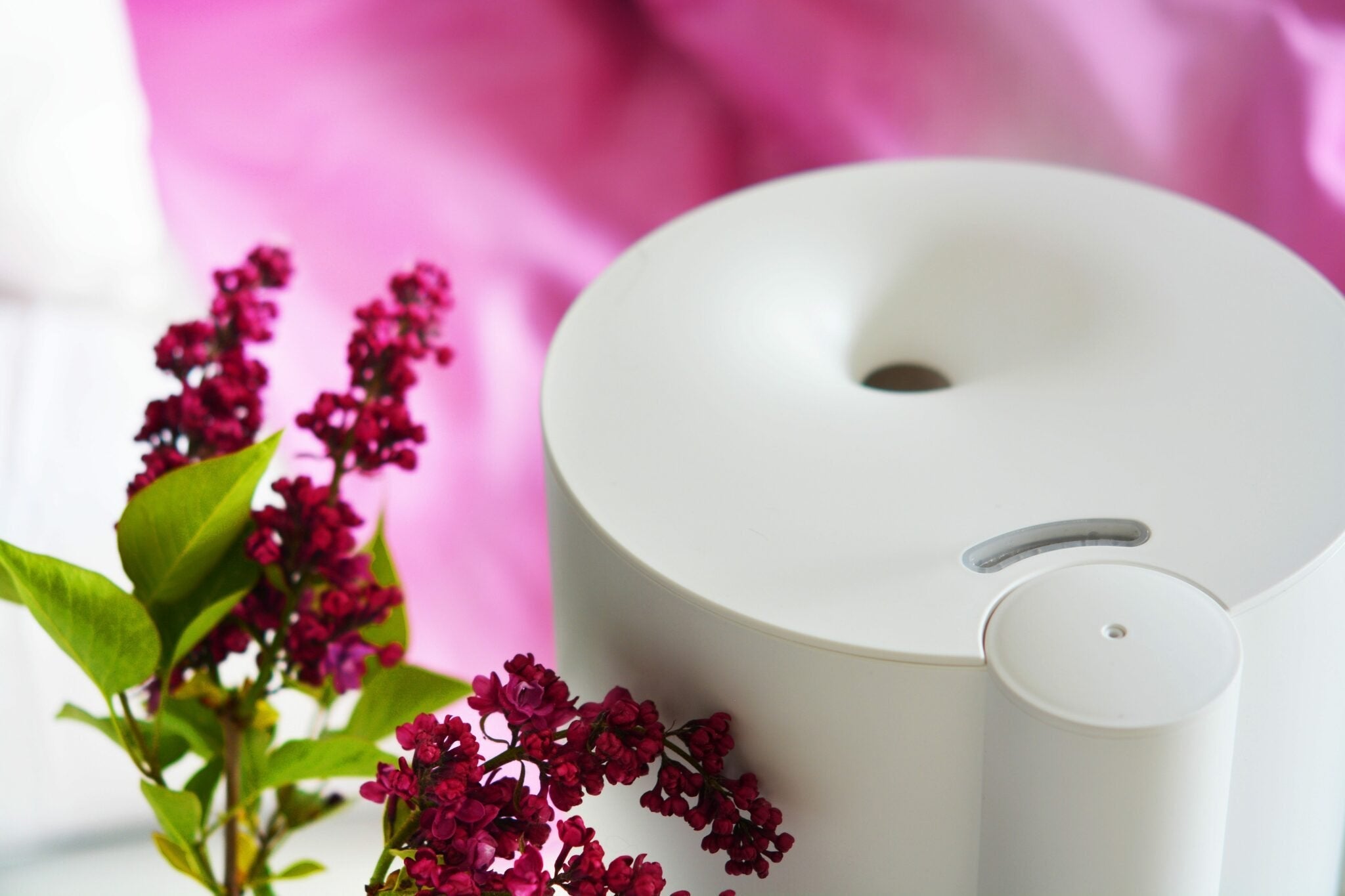 EAN 5901750504303 - Blaupunkt AHA501 humidificador Vapor 4 L Blanco 24 W imagen 4