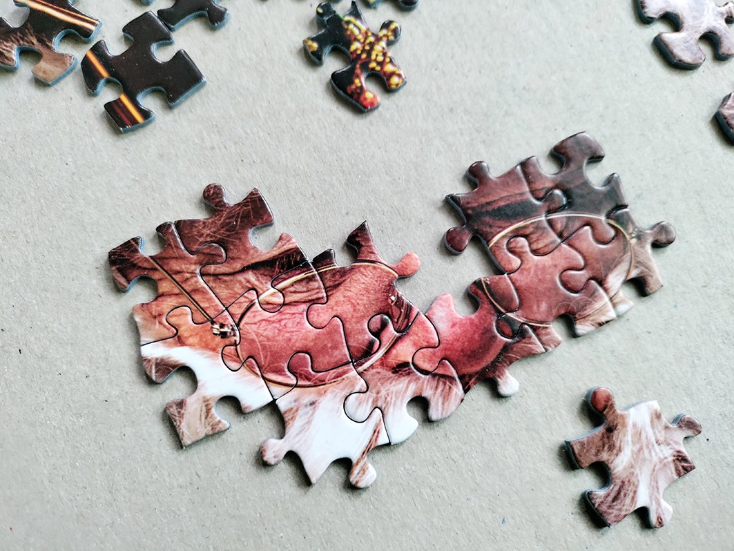 Puzzle 1000 Elementów Swiety Mikolaj W Swoim Domu