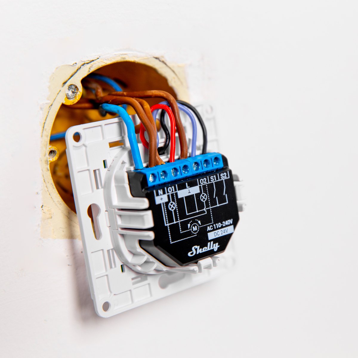 EAN 3800235265031 - Shelly PLUS 2PM Interruptor inteligente 2P Negro imagen 3