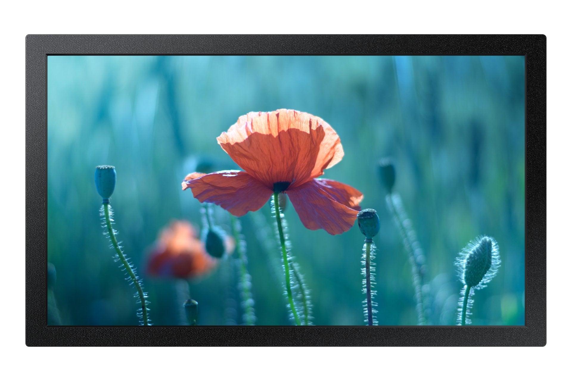 Samsung Ds Qb13c 33.7cm 16 7 13.2'' 1920x1080 Hdmi Usb 2.0