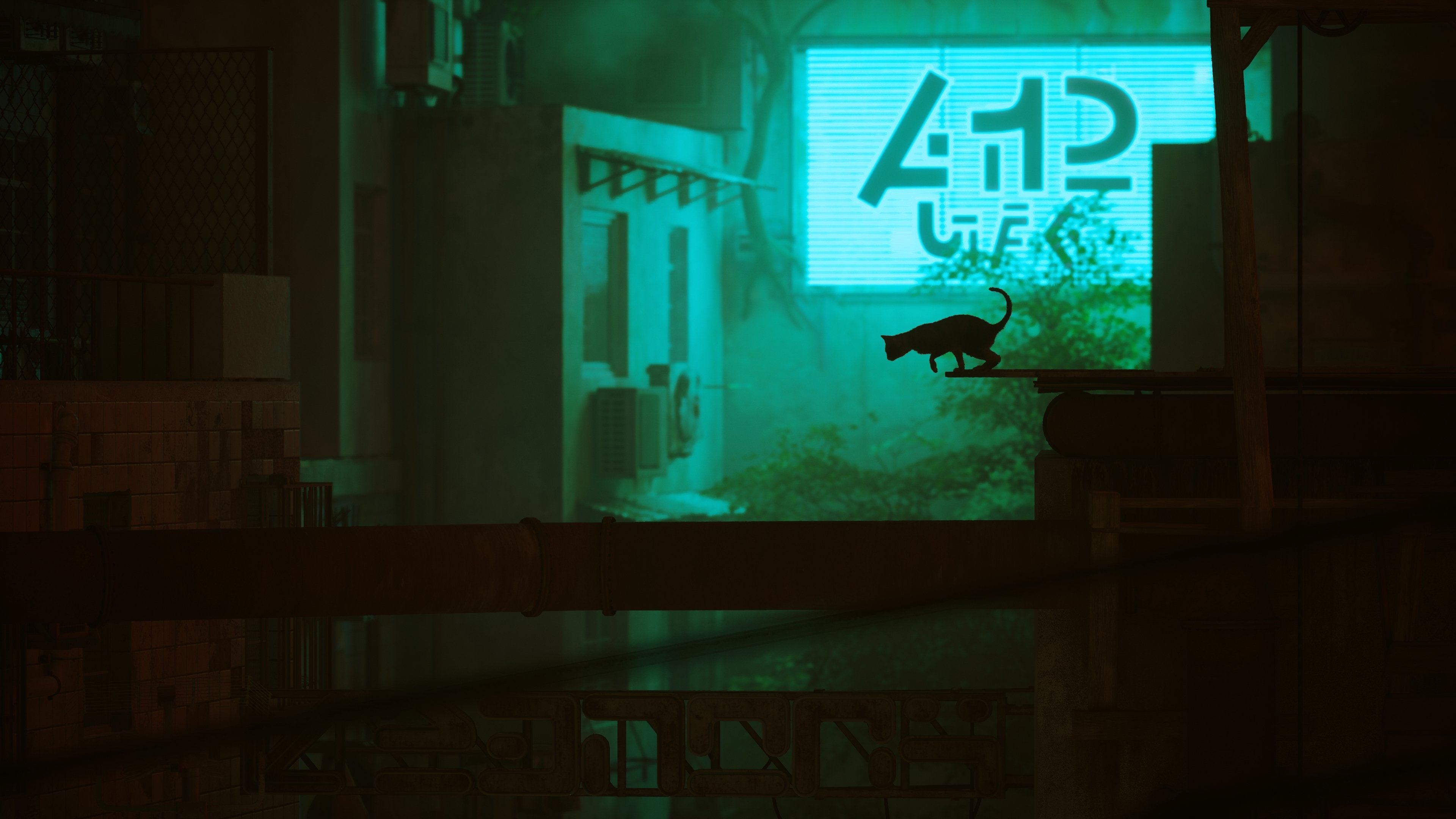 Stray