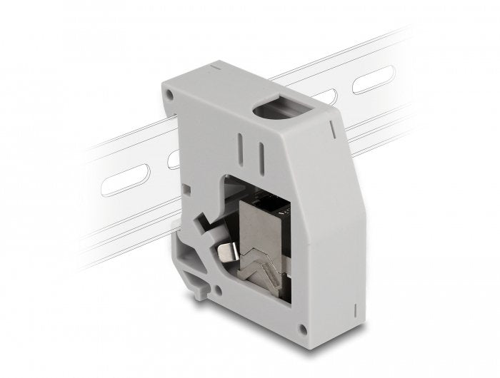 Delock Adaptador De Carril Din Con Módulo Keystone Rj45 Hembra A Rj45 Hembra Cat.6a
