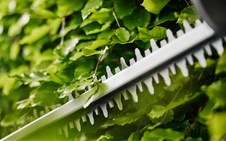 Gardena Batería-Cortasetos Easycut 55 Ready-To-Use Set