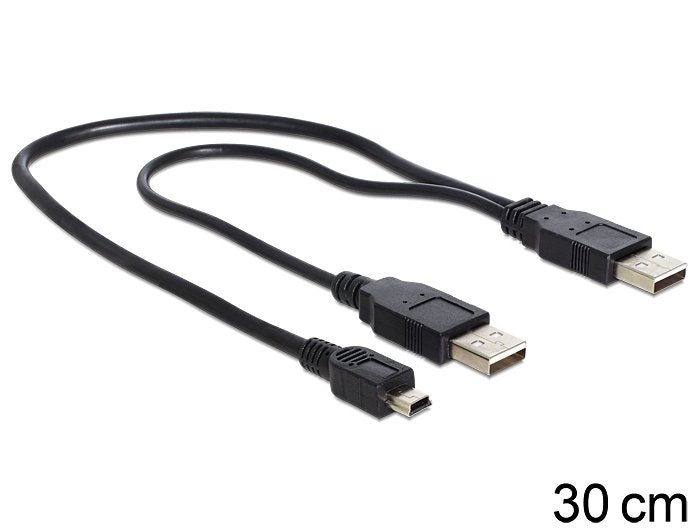 Delock Cable 2 X Usb 2.0-A Male Usb Mini 5-Pin.30cm
