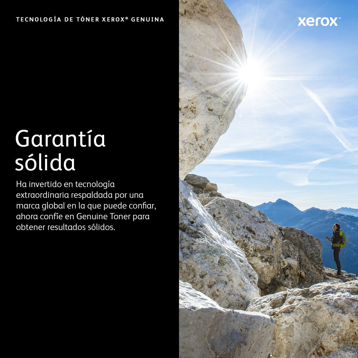 Xerox Toner Magenta Phaser 7800 Gran Capacidad 17.200 Paginas