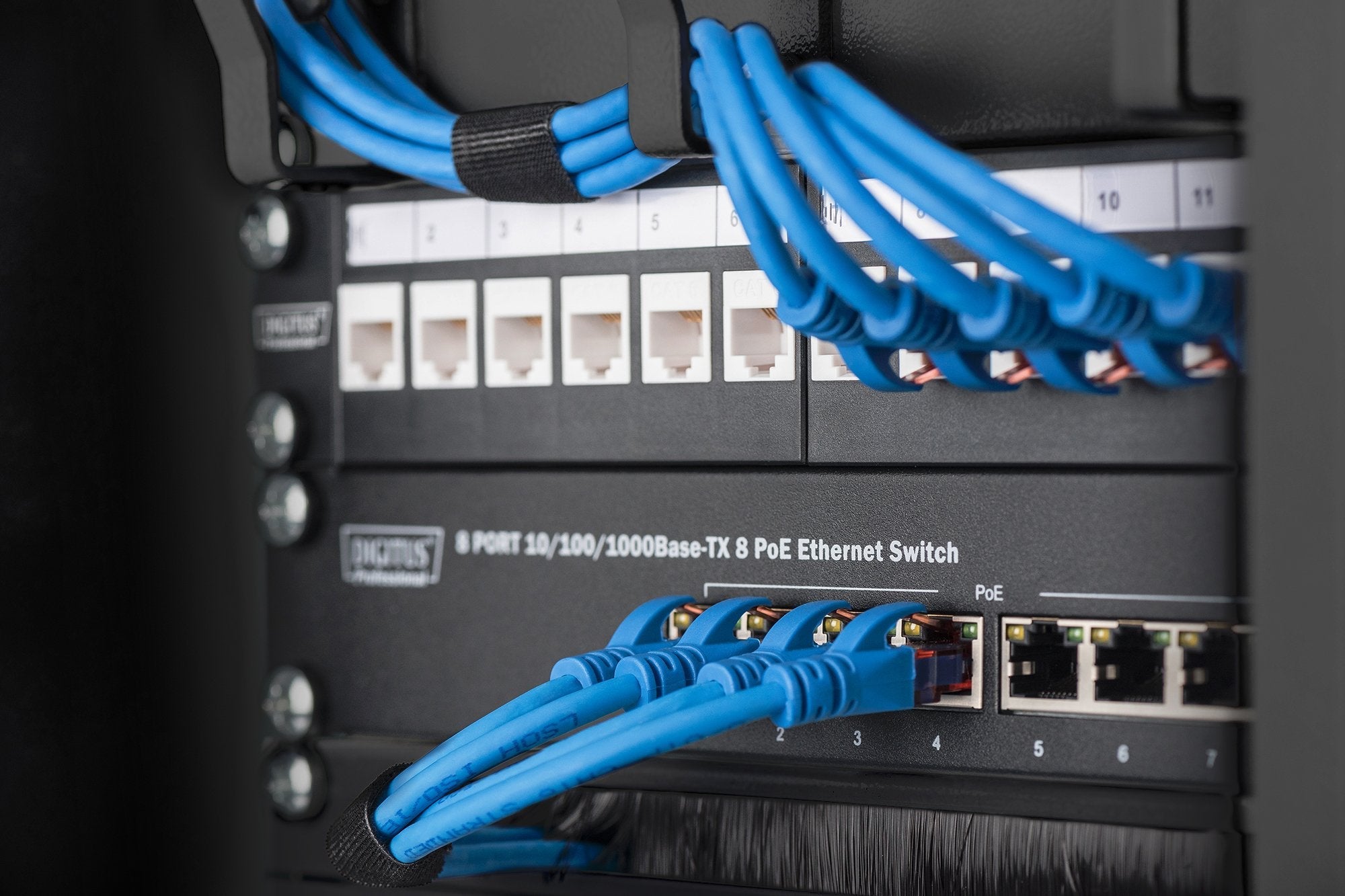 Digitus Dn-10-Org-1-2u-B, Panel De Gestión De Cables, Negro, Acero, 0.5u, 25,4 Cm (10")