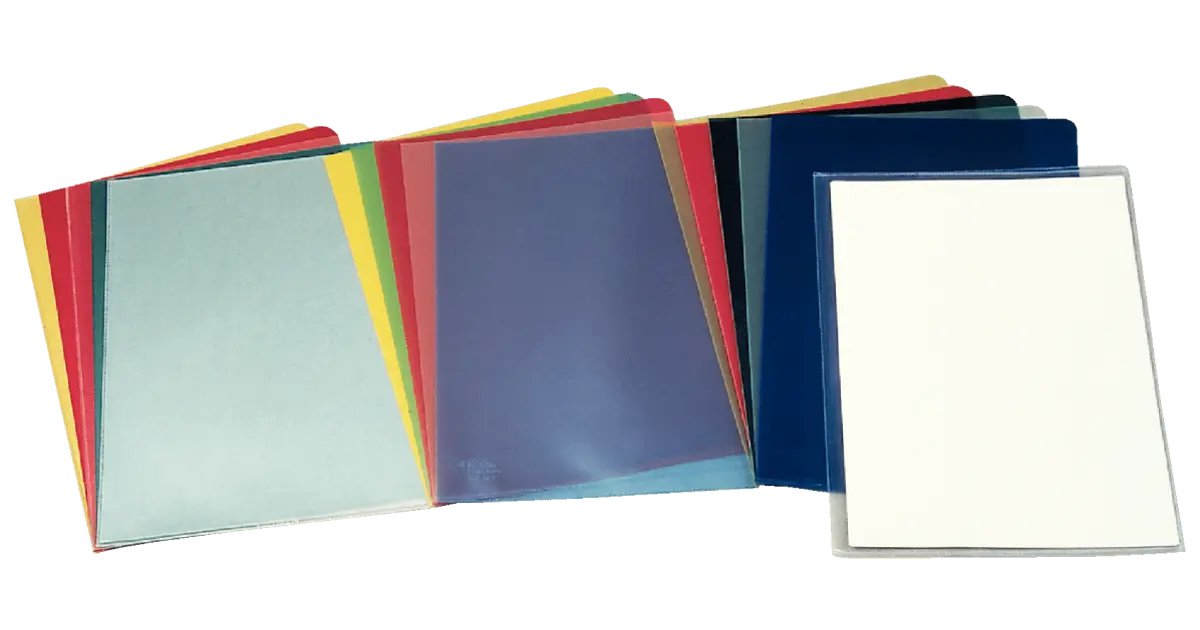 EAN 8411772003106 - Esselte 46024 protector de hojas Folio Cloruro de polivinilo (PVC) 100 pieza(s) imagen 1