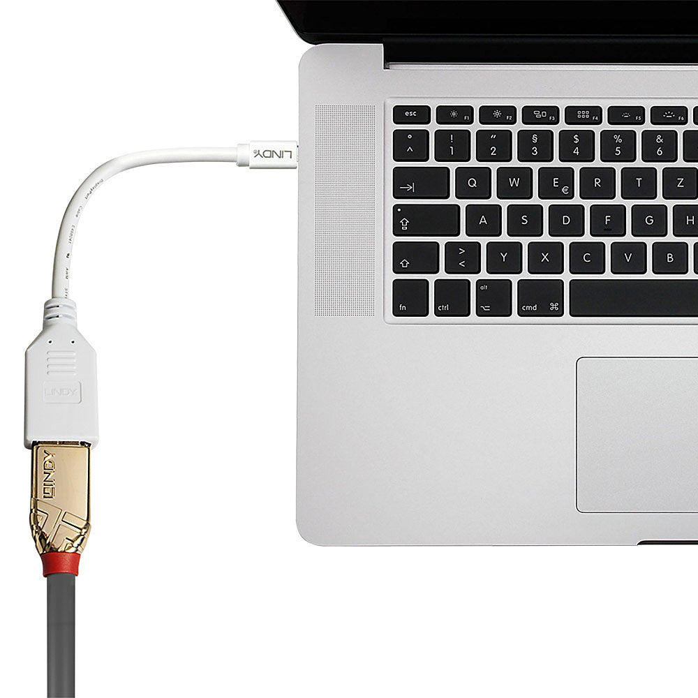EAN 4002888410212 - Lindy 41021 cable DisplayPort 0,15 m Mini DisplayPort Blanco imagen 3