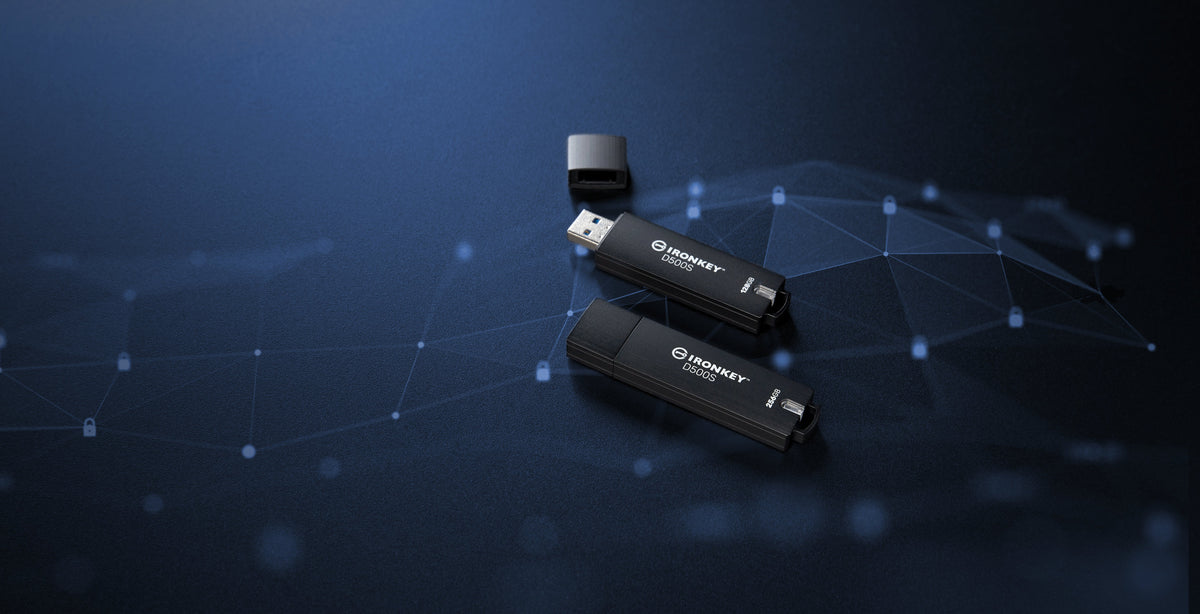 EAN 0740617334715 - Kingston Technology IronKey D500S unidad flash USB USB tipo A 3.2 Gen 1 (3.1 Gen 1) Negro imagen 10