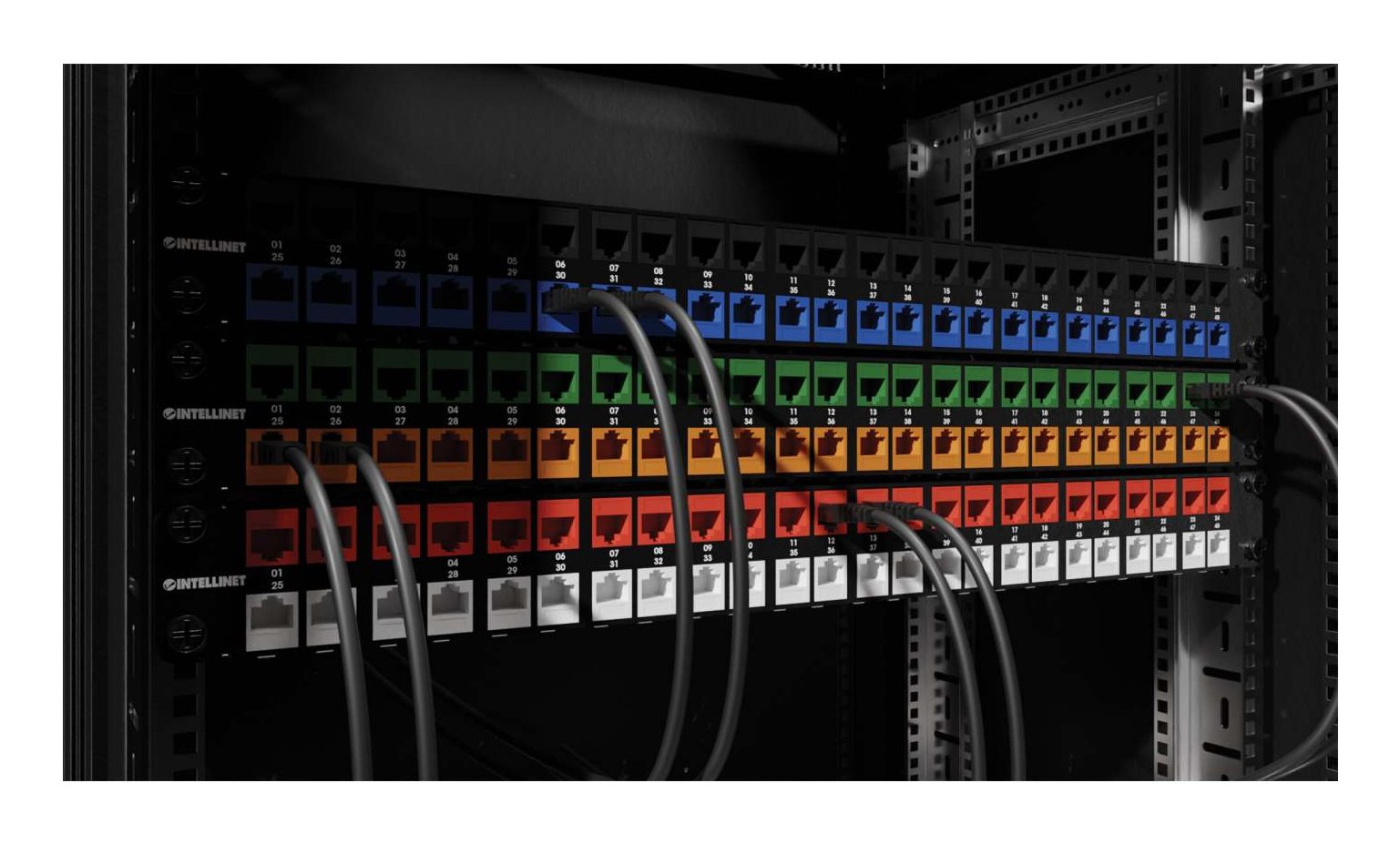 Intellinet Cat6a 10g Mp Keymone-Modul Negro