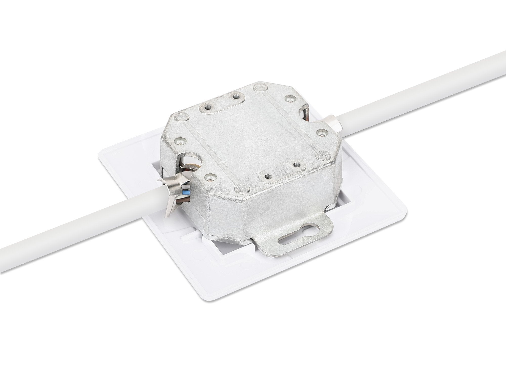 EAN 0766623771900 - Intellinet 771900 toma de corriente 2 x RJ-45 Blanco imagen 6