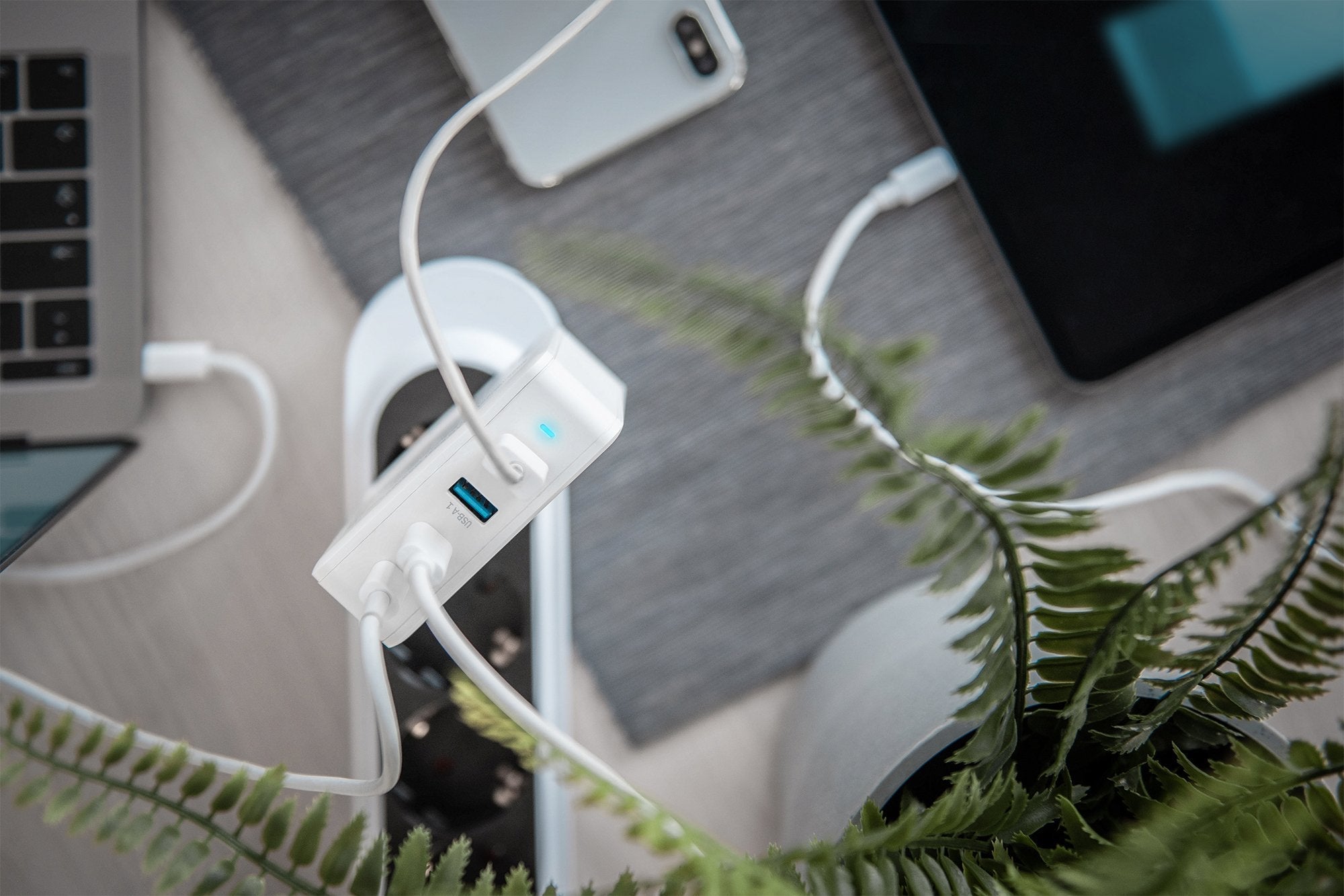 Digitus Universal Ladeadapter Usb-C 100w Usb-C & -A Pd 3.0 Blanco