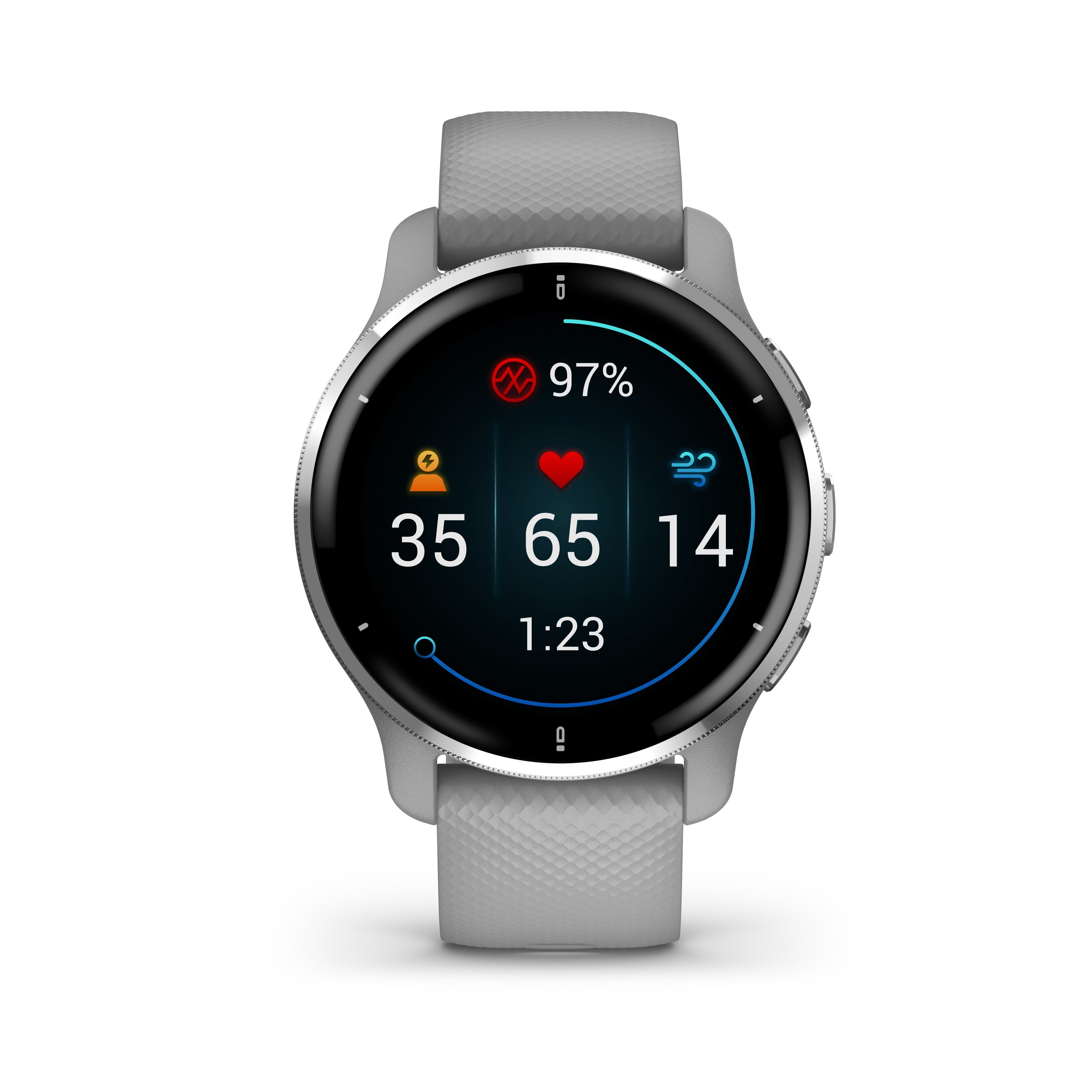 Smartwatch Garmin Venu 2 Plus Notificaciones Frecuencia Cardíaca Gps Plata Y Gris