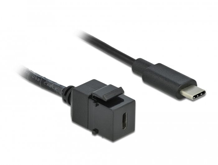 Delock Keystone Modul Usb 5 Gbps Type-C Buchse Zu Usb Type-C Stecker Mit Cable 25 Cm