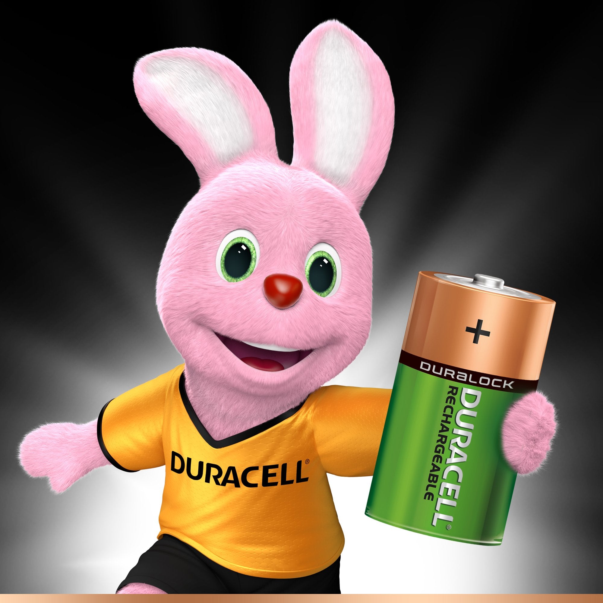 EAN 5000394055995 - Duracell 5000394055995 pila doméstica Batería recargable D Níquel-metal hidruro (NiMH) imagen 2