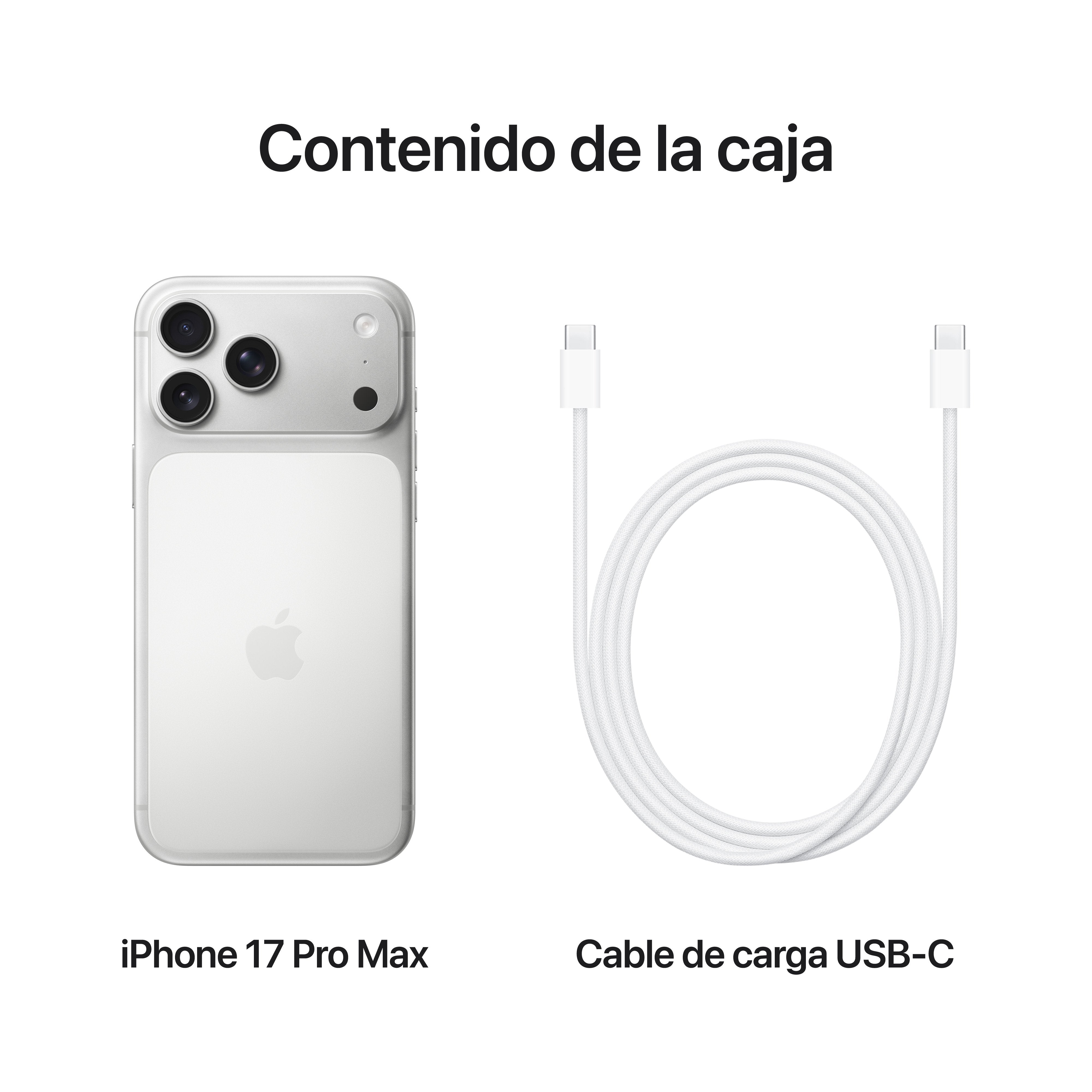 EAN 0195950638813 - Apple iPhone 17 Pro Max 17,5 cm (6.9") SIM doble iOS 26 5G USB Tipo C 256 GB Plata imagen 8