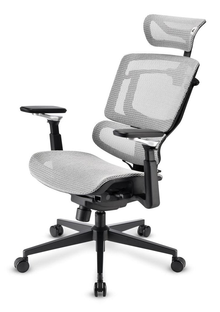Sharkoon Bürosilla Officepal C50m (Gris) 4044951045051