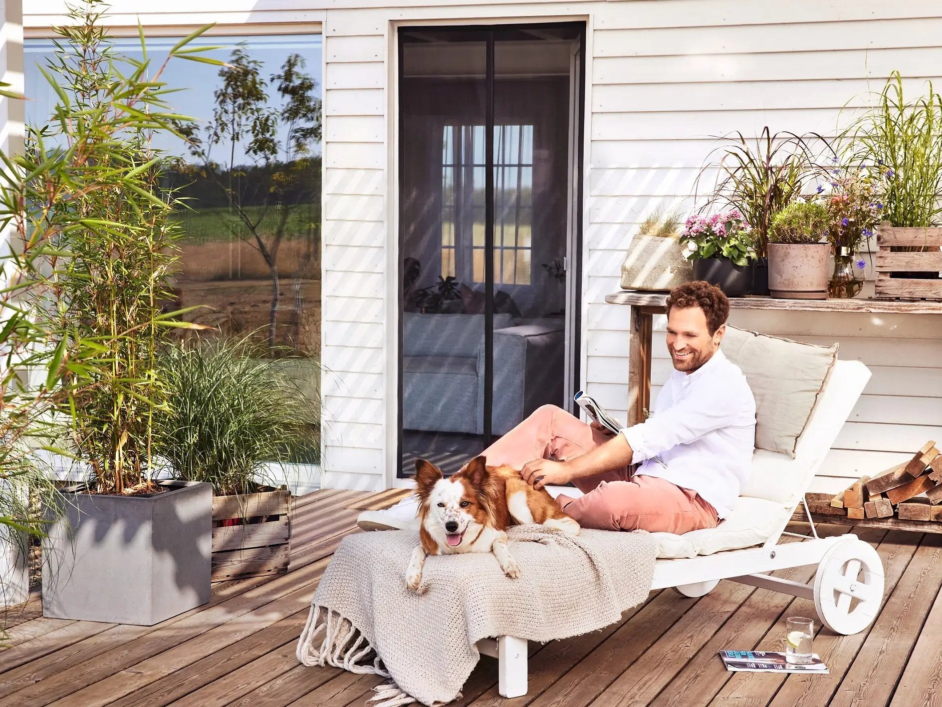 Tesa 55374-00000-00 Red Anti Mosquitos Puerta Antracita 0,8x2,0m