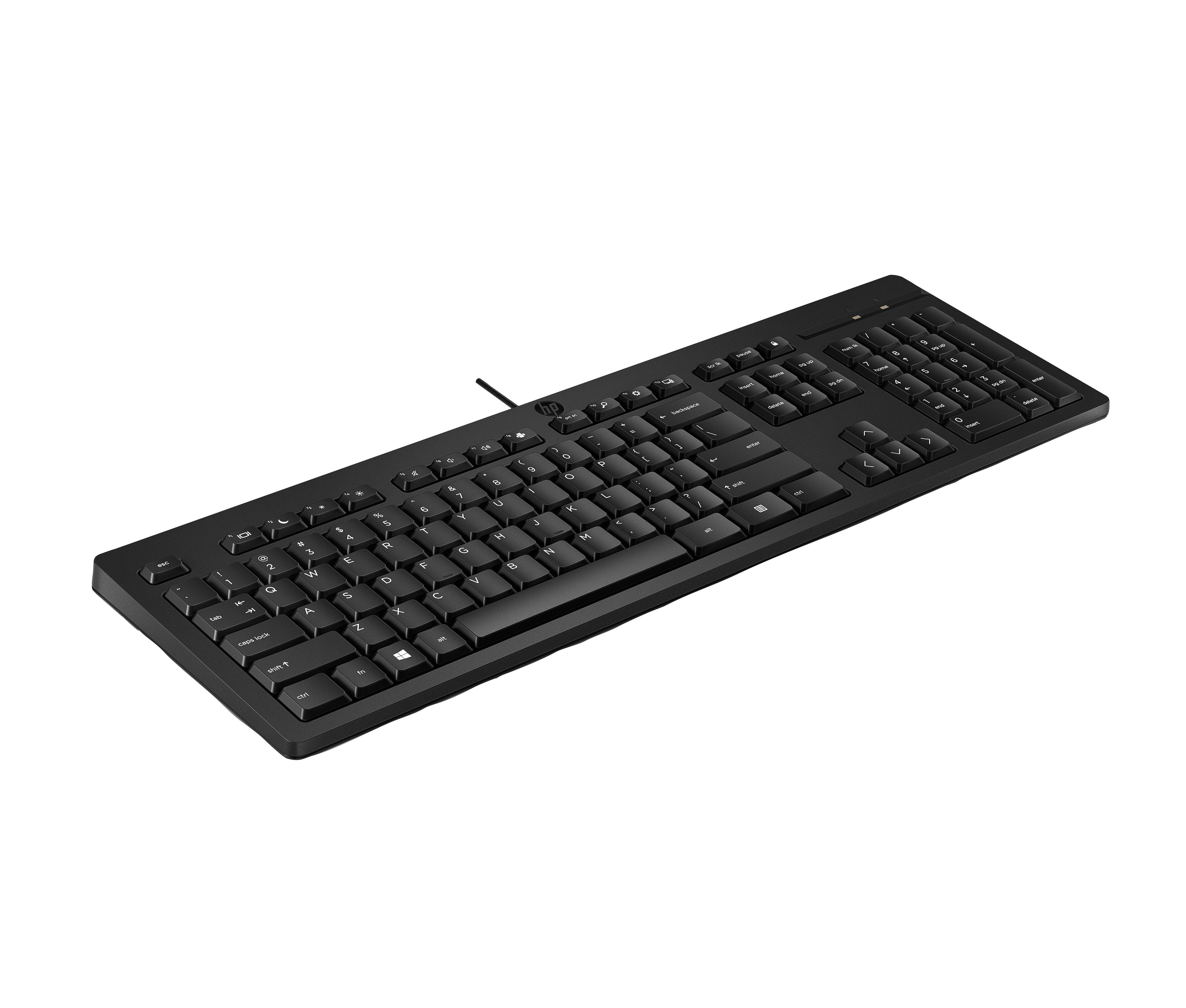 125 Wired Keyboard Czech/Slovakia