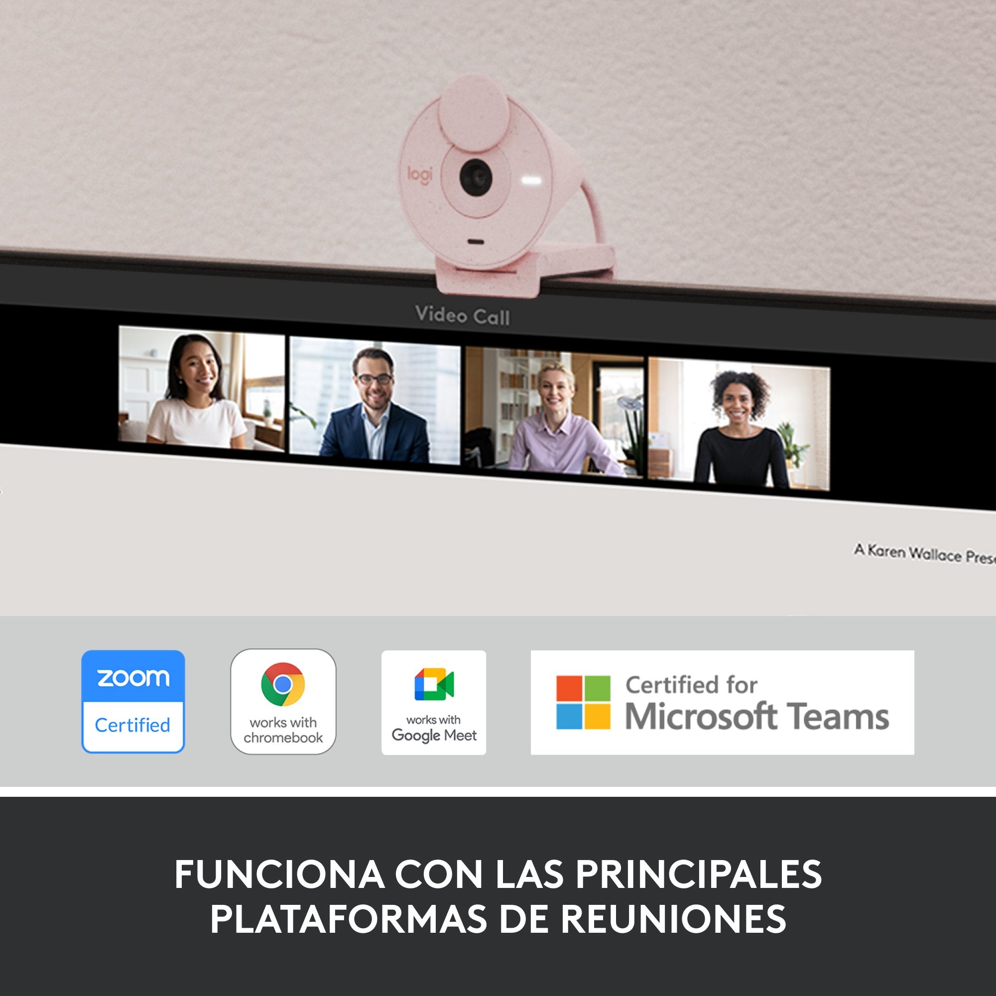 Logitech Brio 300 Cámara Web 2 Mp 1920 X 1080 Pixeles Usb-C Rosa