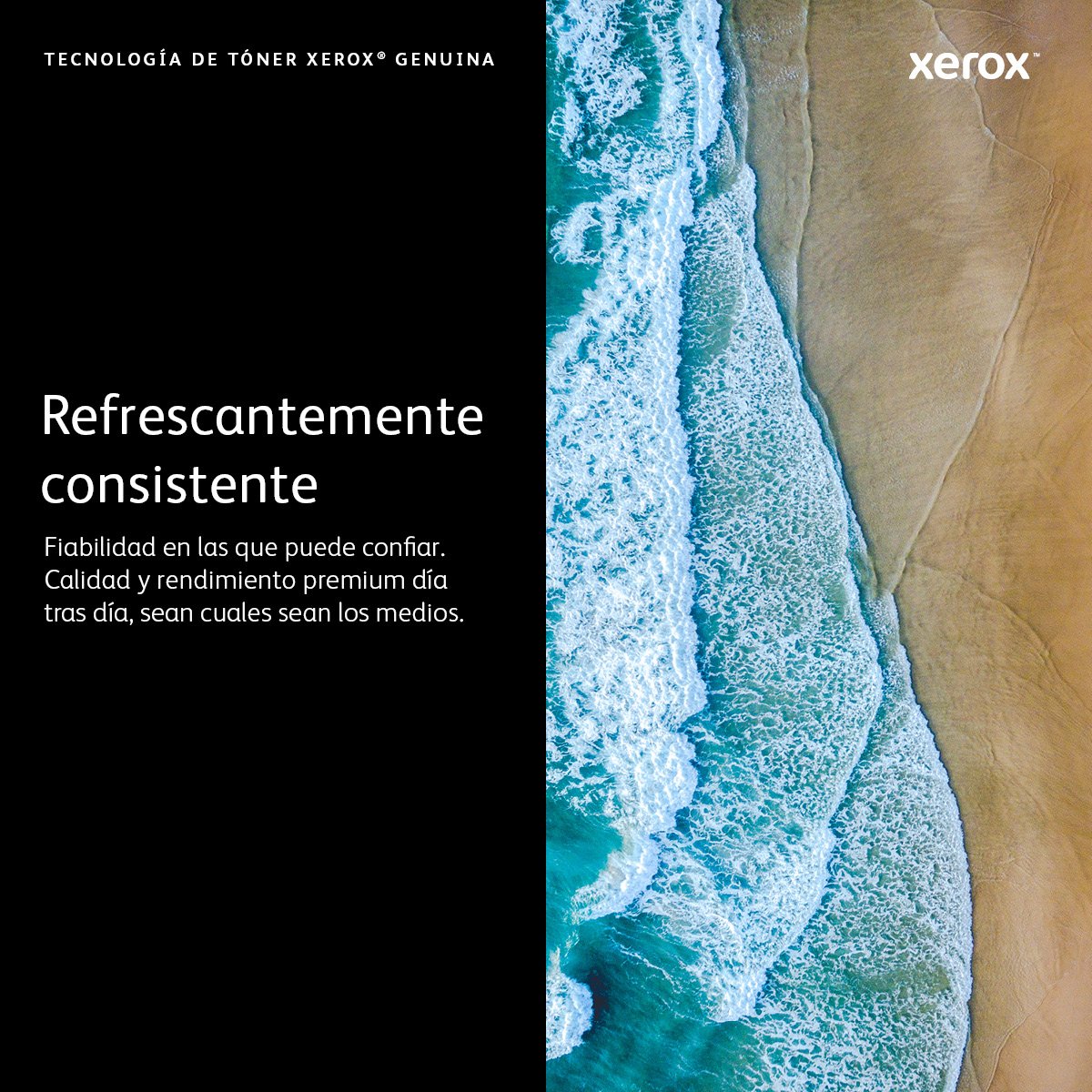 EAN 0095205862775 - Xerox 106R02756 cartucho de tóner 1 pieza(s) Original Cian imagen 4