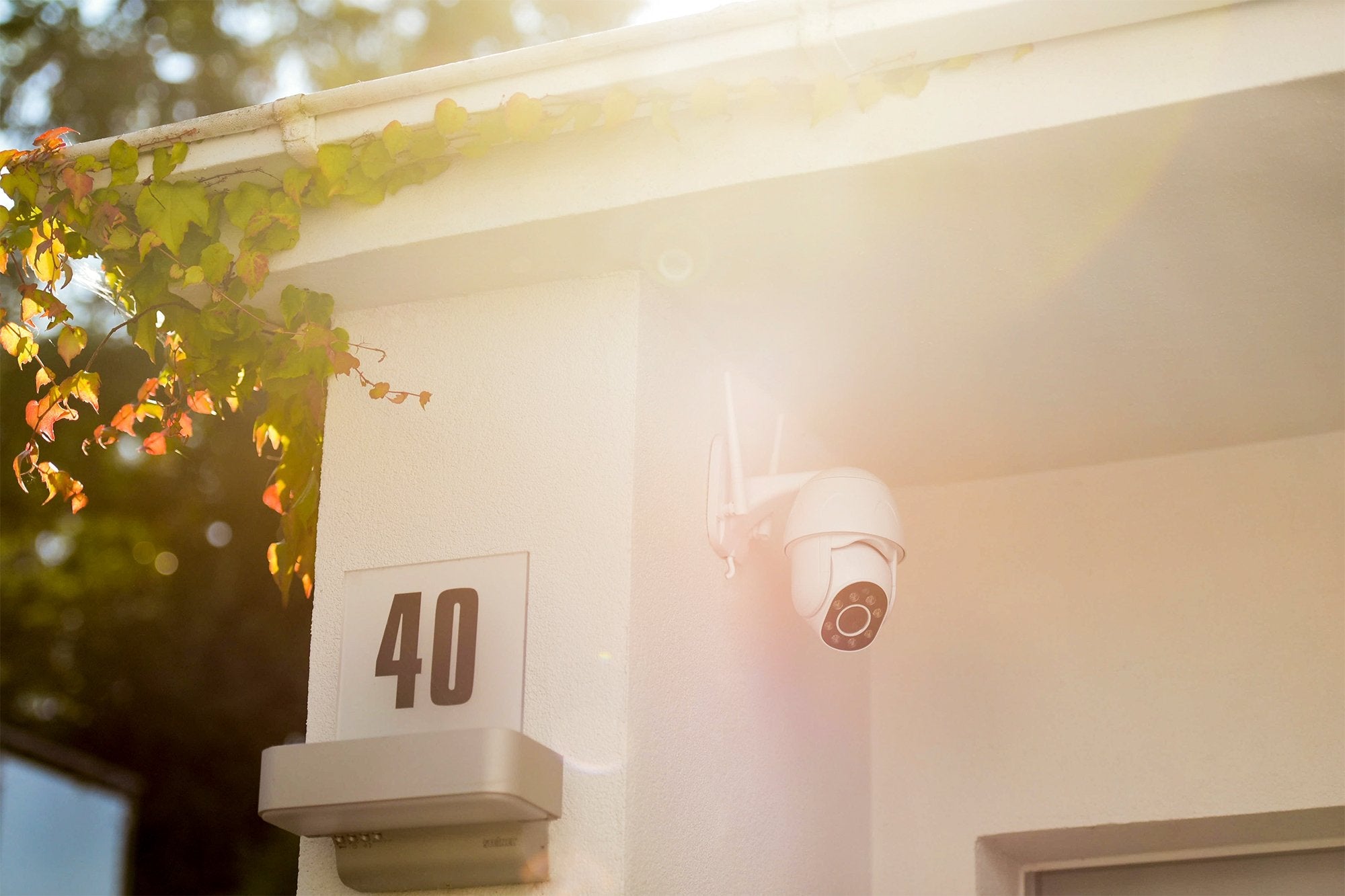 Cámara Exterior Digitus Full Hd Ptz Con Seguimiento Automático, Control Por Voz