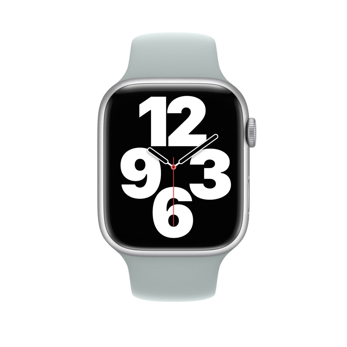 Watch Sport Band 45mm - Succulent