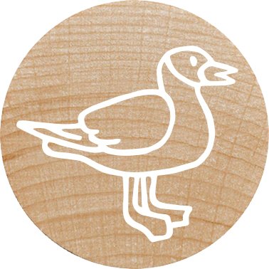 EAN 9004362534488 - Colop 165225 imagen 3