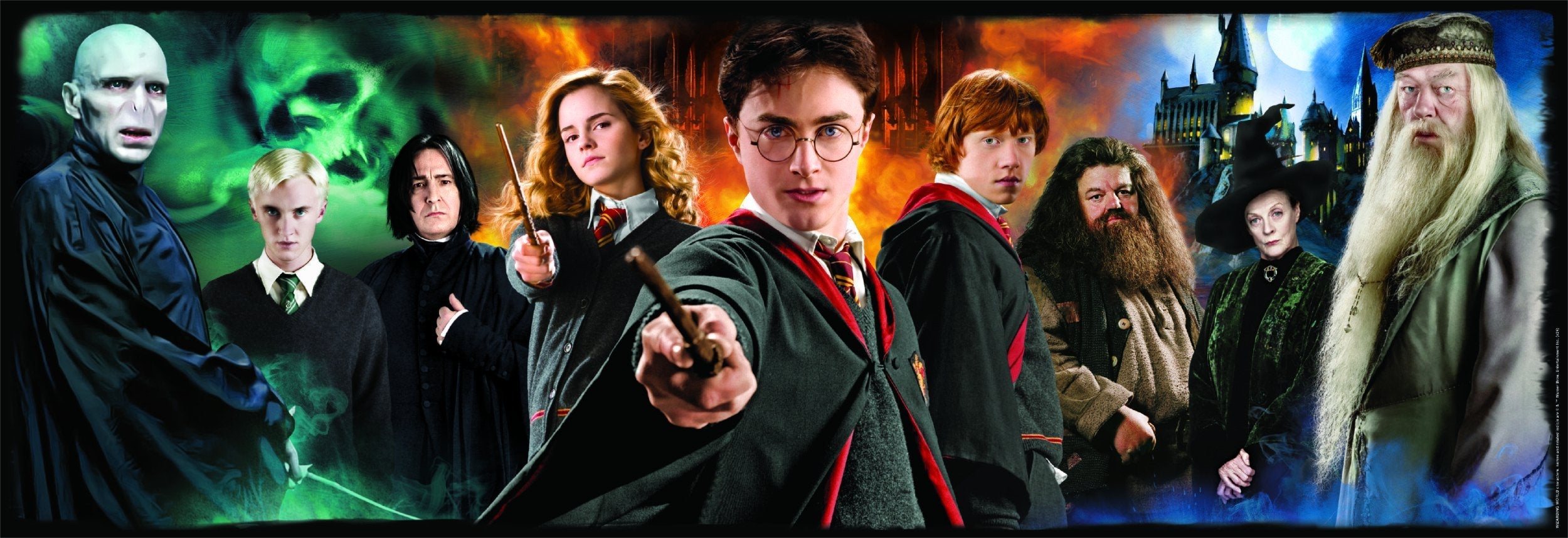 Puzzle Panorama Harry Potter 1000pzs