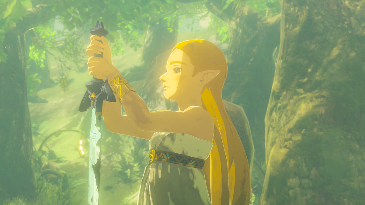EAN 0045496312725 - Nintendo The Legend of Zelda: BOTW, Switch 2 Edición Nintendo Switch 2 Plurilingüe Nintendo Switch 2 imagen 10