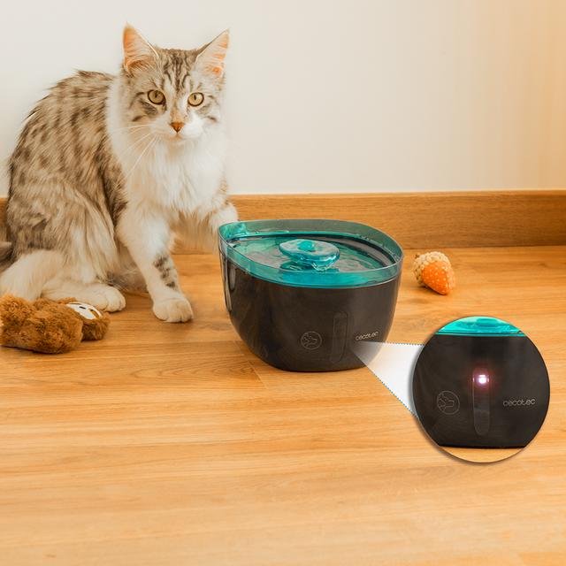 EAN 8435484095617 - Cecotec Pumba 2200 Refresh comedero y bebedero para perro y gato Plástico Negro, Azul Universal Bebedero imagen 8
