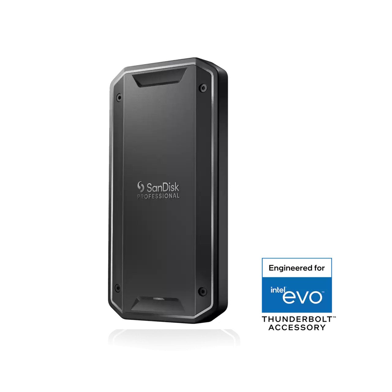 Sandisk Professional Pro-G40 Ssd 4tb (Exfat)