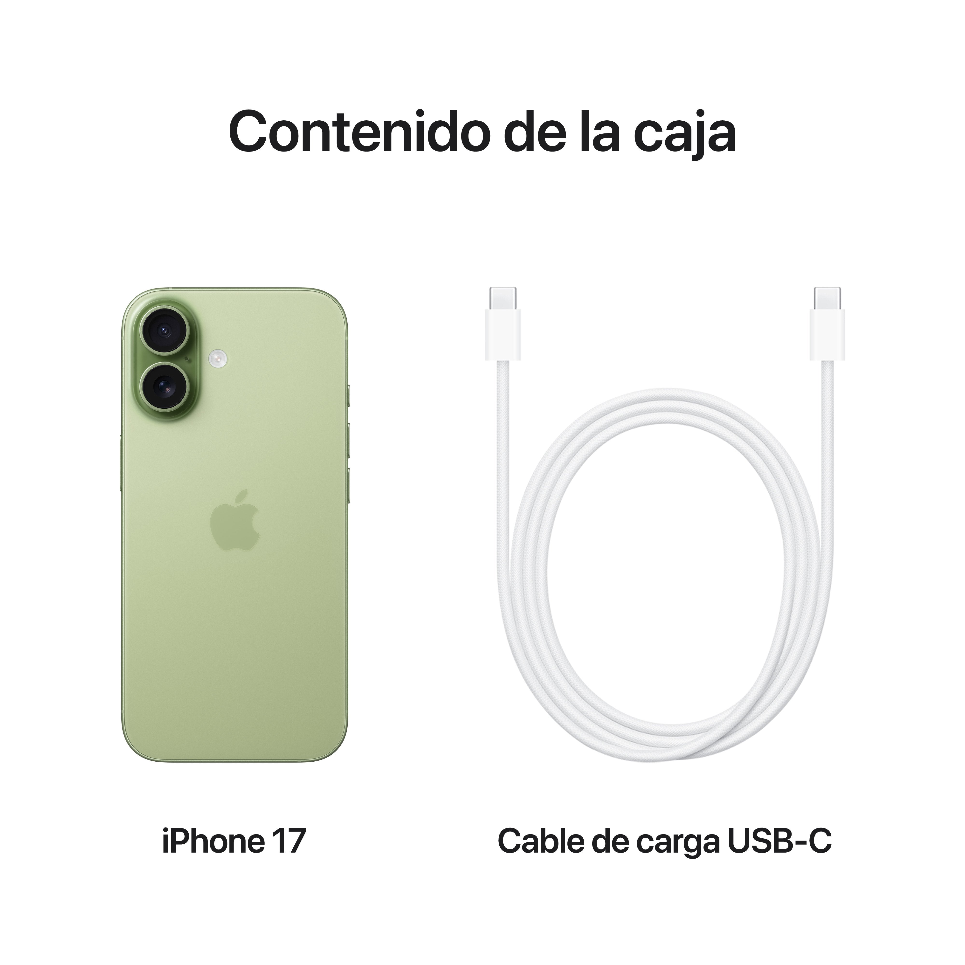 EAN 0195950644302 - Apple iPhone 17 16 cm (6.3") SIM doble iOS 26 5G USB Tipo C 256 GB Salvia imagen 8