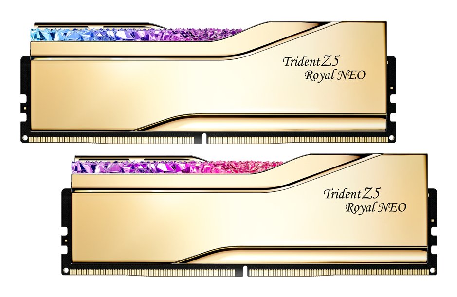 Memoria G.Skill Ddr5 48 Gb (2 X 24 Gb) 6000 F5-6000j2636h2 Oro
