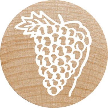 EAN 9004362534495 - Colop 165226 imagen 11