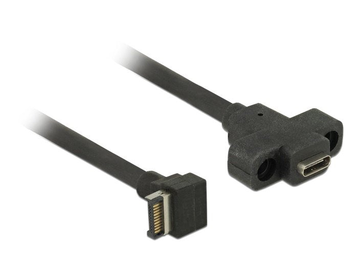 Delock Cable Usb 3.1 Gen 2 Clave A Macho De 20 Pines Usb 3.1 Gen 2 Usb Type-C Panel De Montaje Hembra De 45 Cm