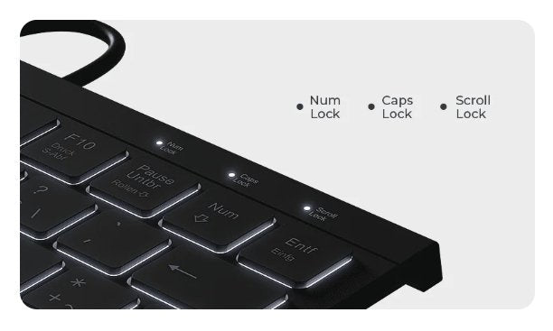 EAN 4250078172895 - KeySonic KSK-5011ELC (DE) teclado Hogar USB QWERTZ Alemán Negro imagen 3