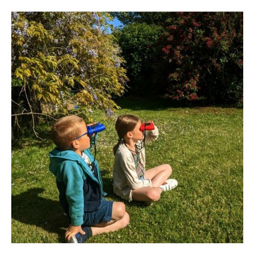 Kodak Binocular Bcs100 8x21 Blue