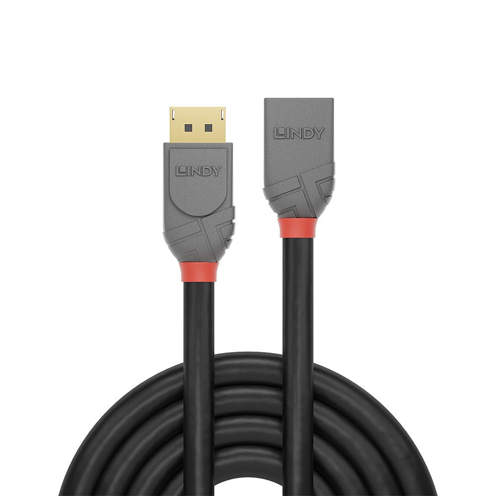 Lindy Displayport 1.4 Cable De Extensión 0.50m, Línea Anthra