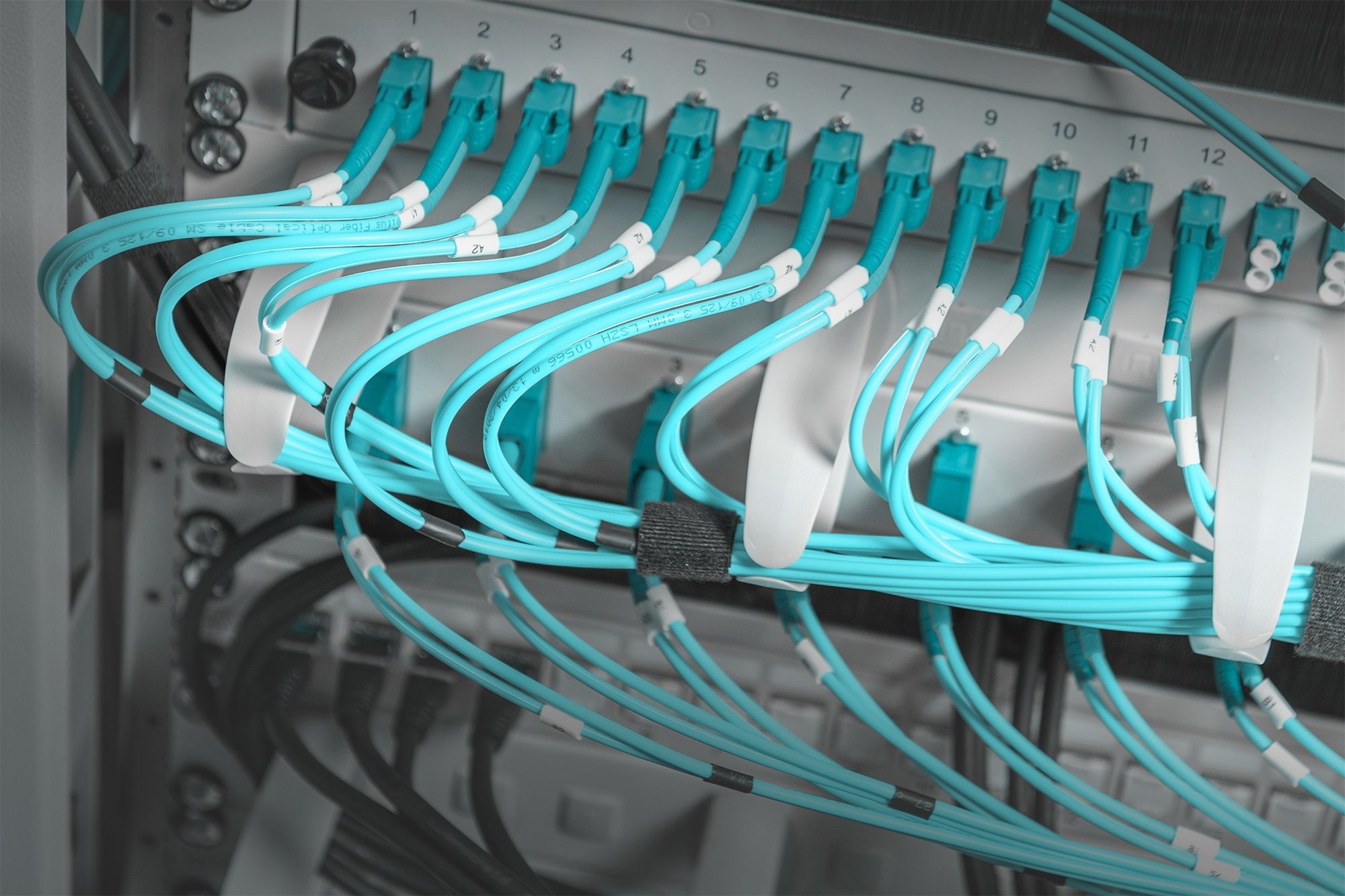 Digitus Dn-97601-2 Organizador De Cables Soporte Para Cables Estante Gris 1 Pieza(S)