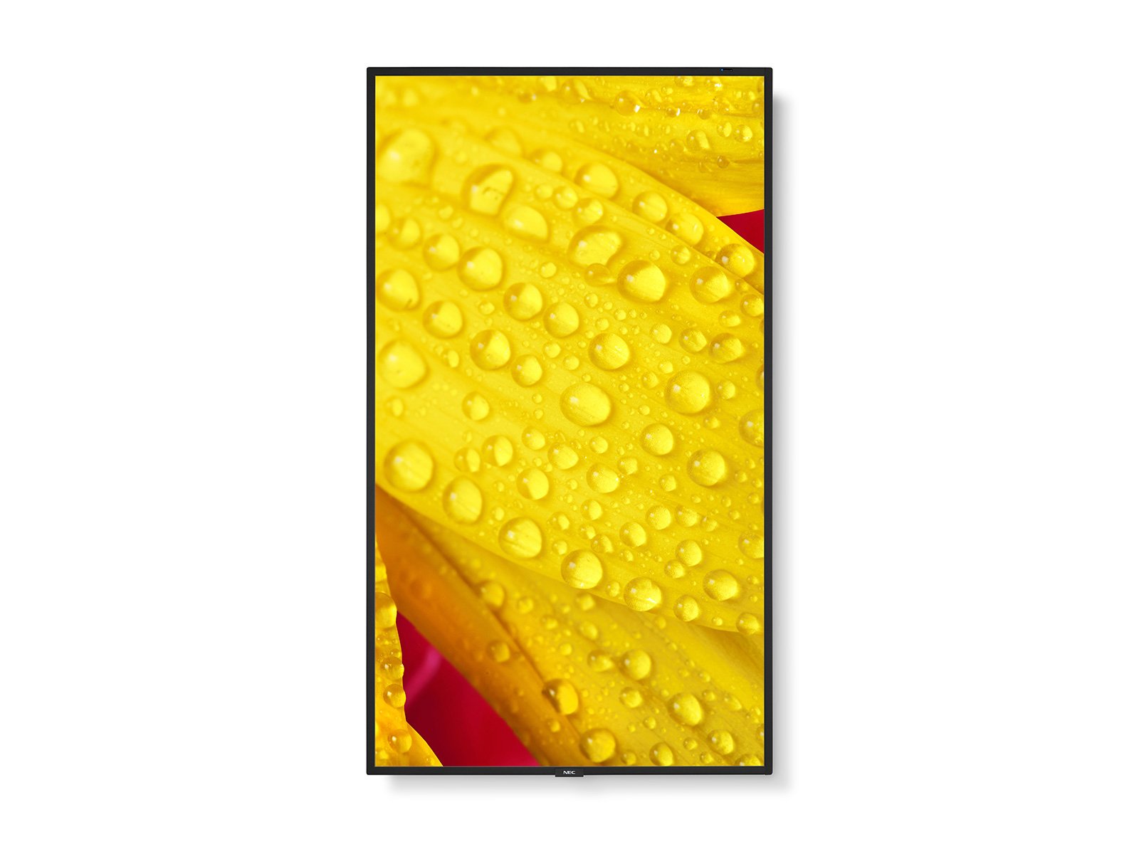 Monitor Nec - 43' Ultra High Definition Commercial Display