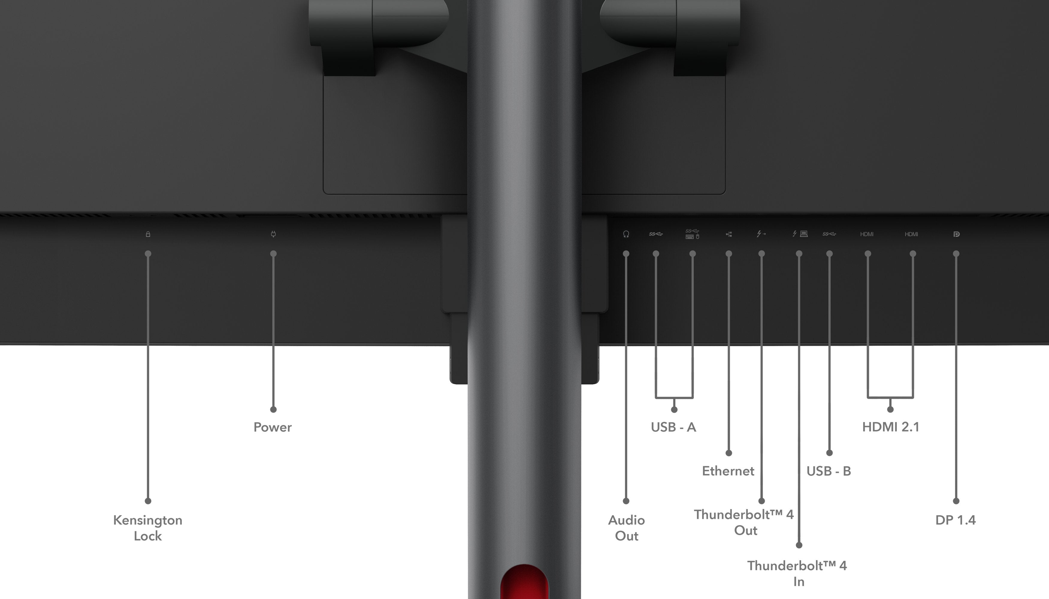 EAN 196802362085 - Lenovo ThinkVision P49w-30 LED display 124,5 cm (49") 5120 x 1440 Pixeles DQHD Negro imagen 20