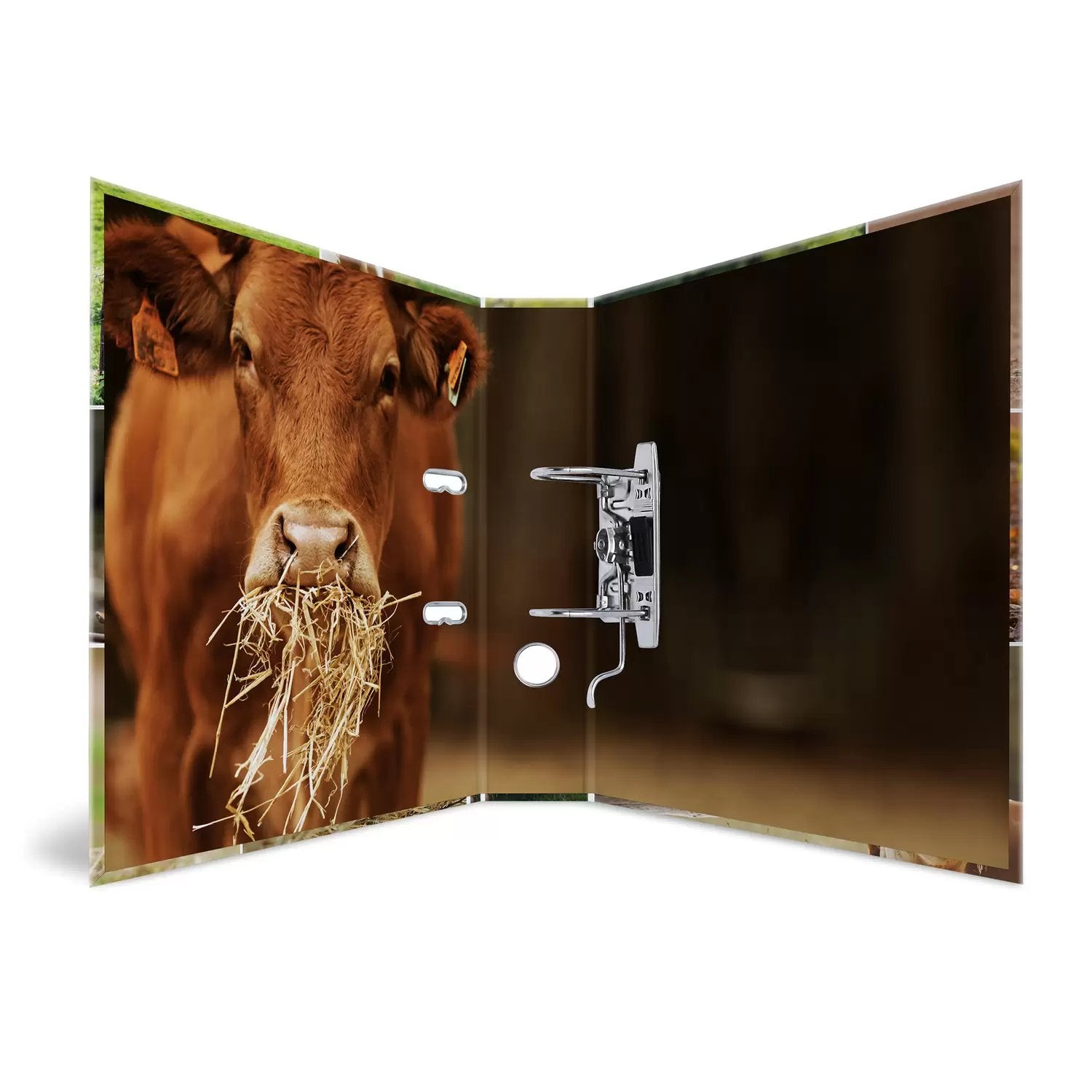 EAN 4008705192538 - HERMA 19253 carpeta de cartón A4 Multicolor imagen 3