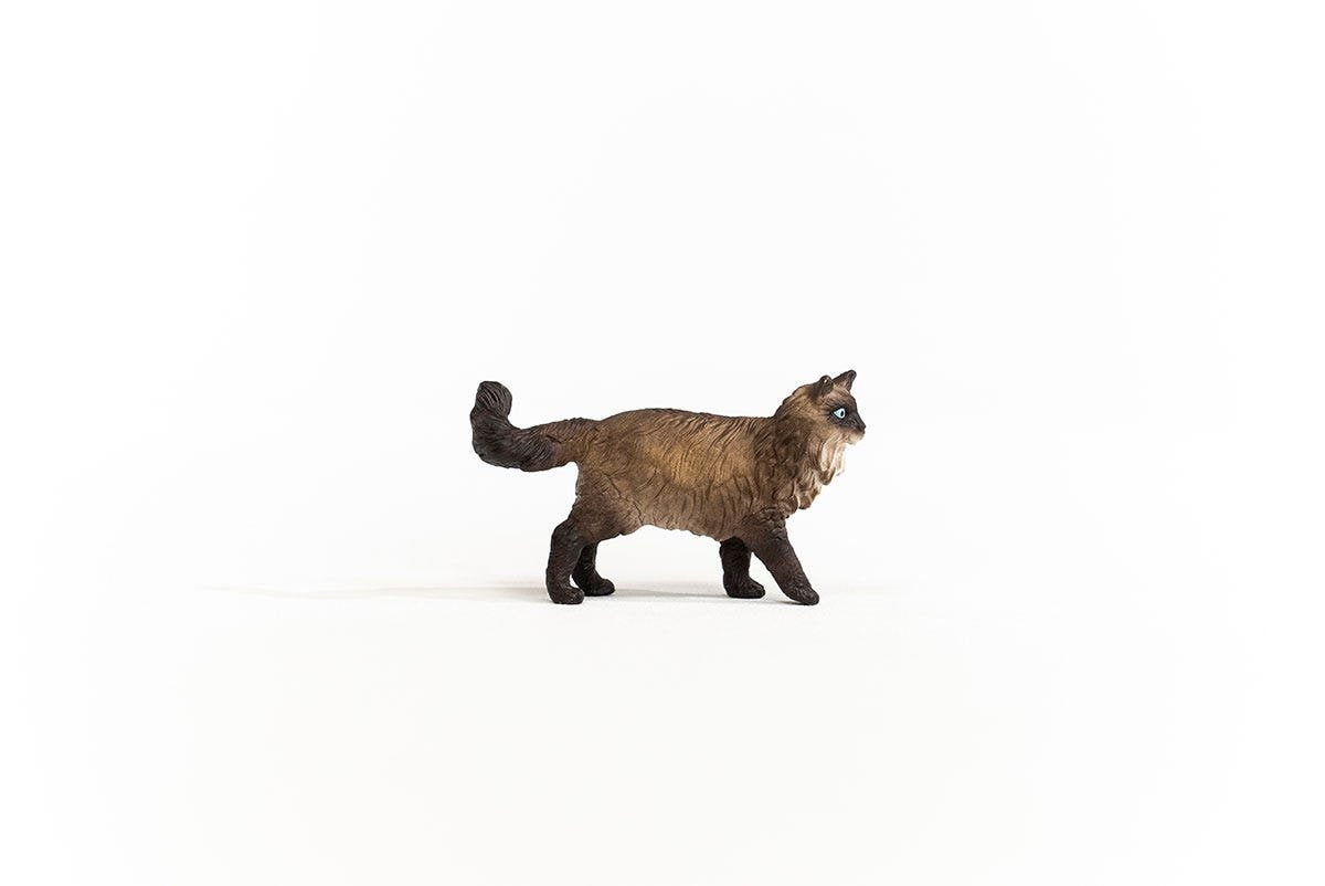 EAN 4059433363226 - schleich FARM WORLD 13940 figura de juguete para niños imagen 4
