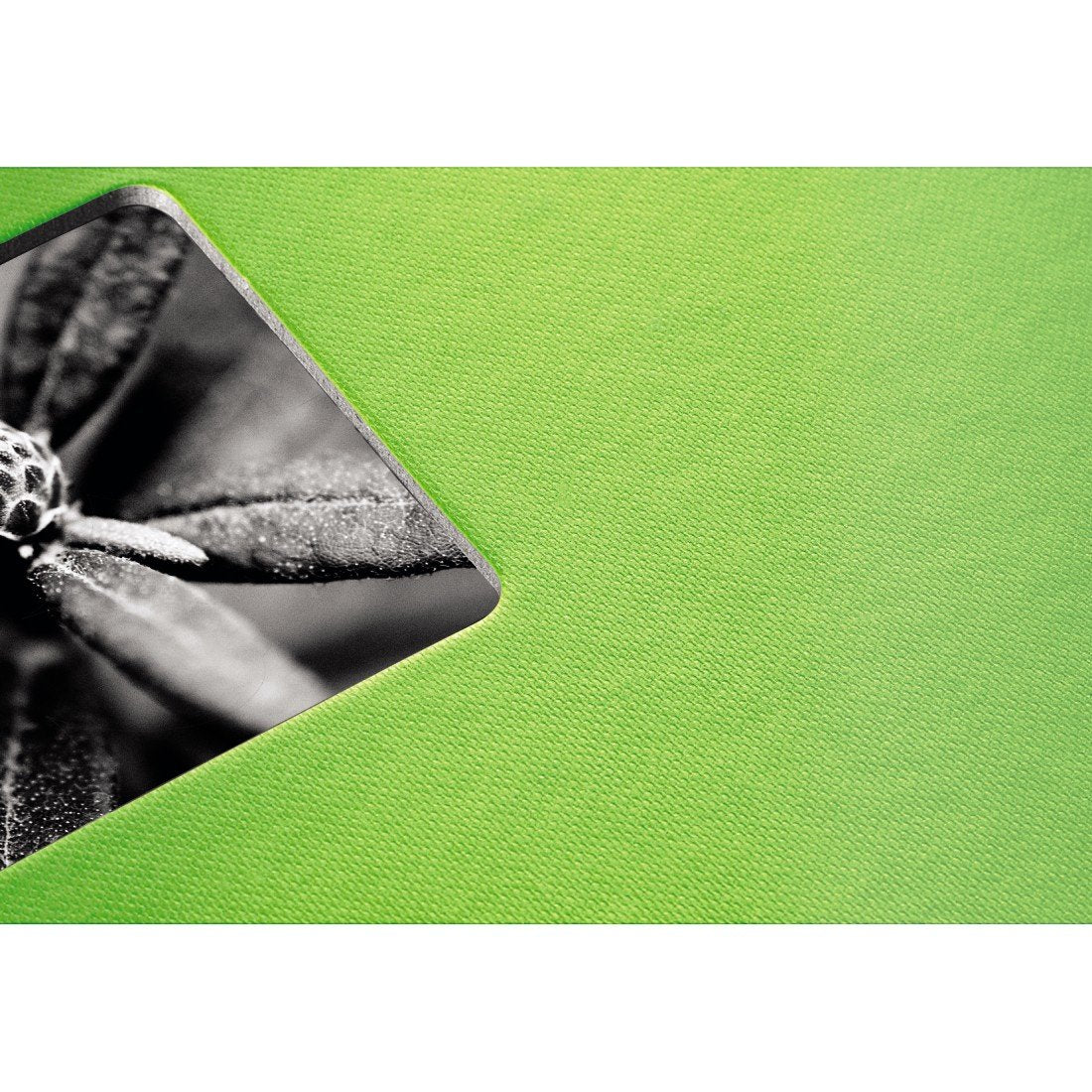 EAN 4007249021144 - Hama Fine Art álbum de foto y protector Verde 50 hojas 10 x 15 cm imagen 6