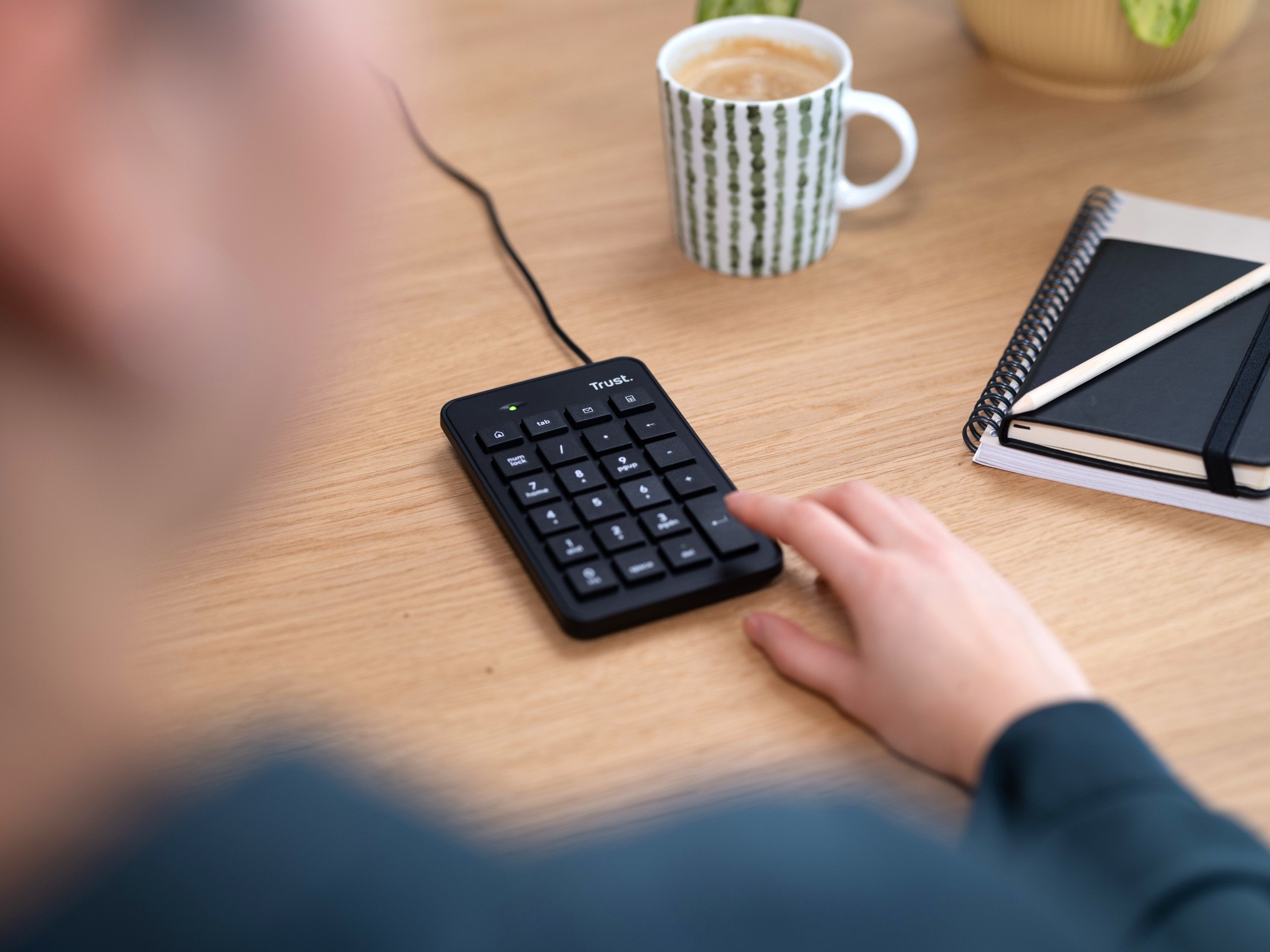 EAN 8713439222210 - Trust 22221 teclado numérico Portátil/PC USB Negro imagen 6